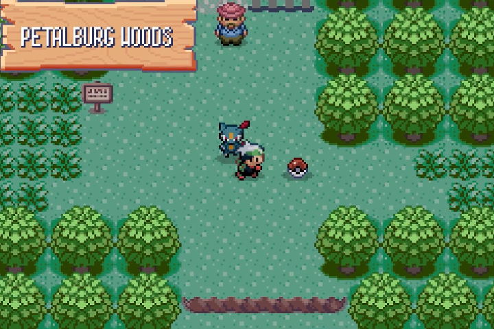 Player and Pokemon in Petalburg Woods